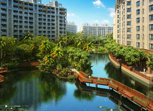 滑县狗原版视频免费观看