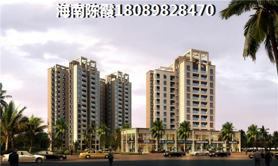 生命中有迷茫吗是什么歌曲